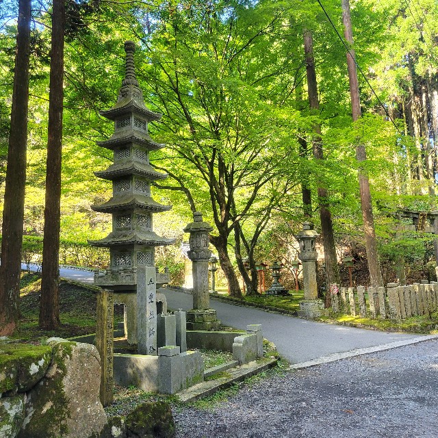 f:id:atoriatoriatori:20241106134703j:image