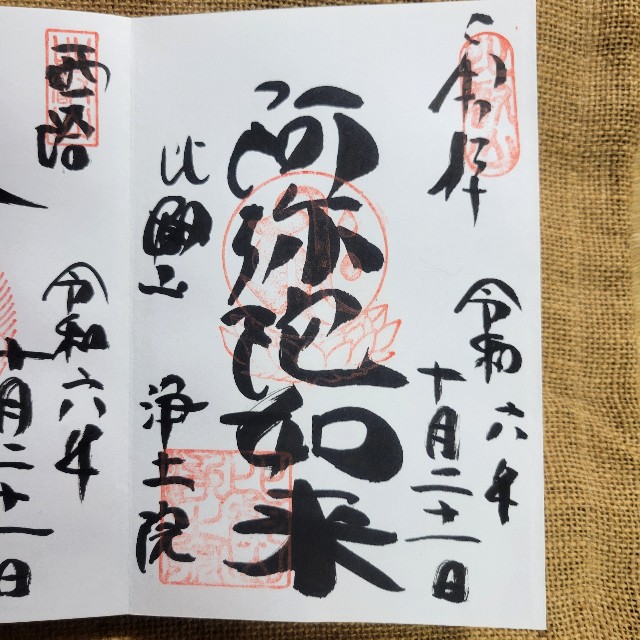 f:id:atoriatoriatori:20241107184535j:image