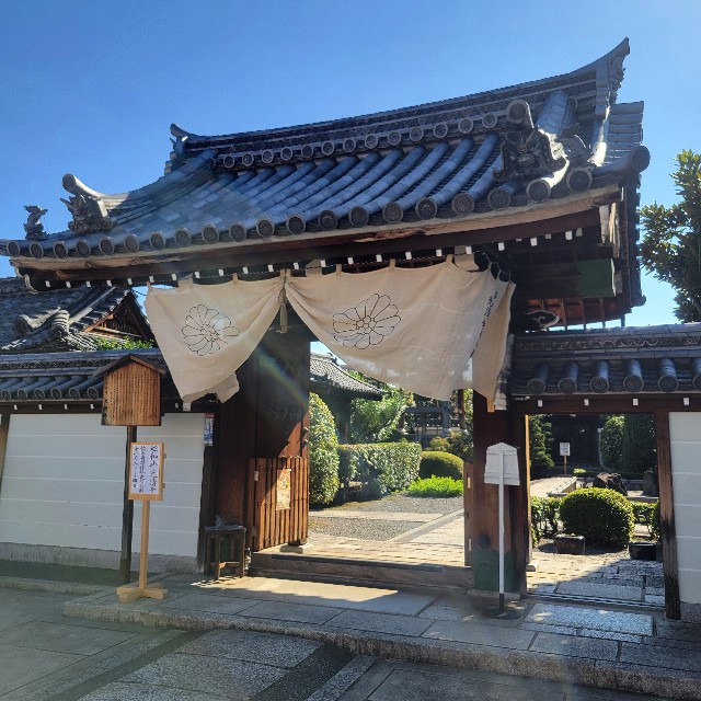 f:id:atoriatoriatori:20241111184207j:image