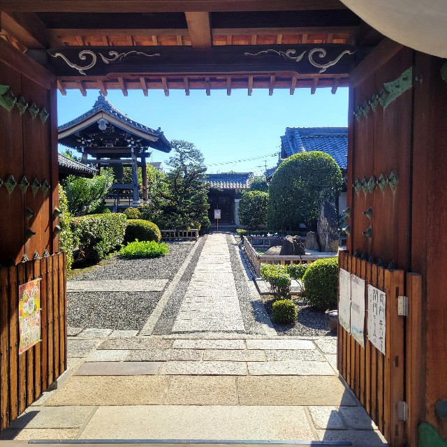 f:id:atoriatoriatori:20241111184221j:image