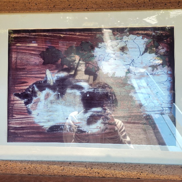 f:id:atoriatoriatori:20241111215521j:image