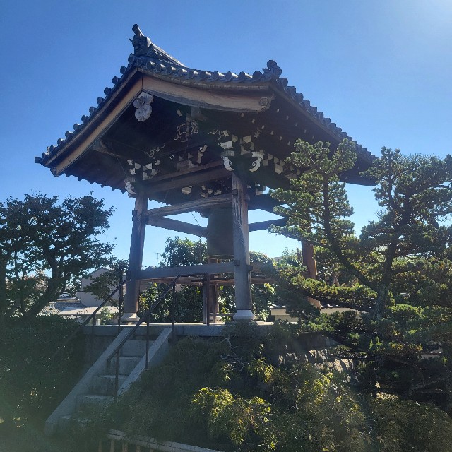 f:id:atoriatoriatori:20241111215636j:image