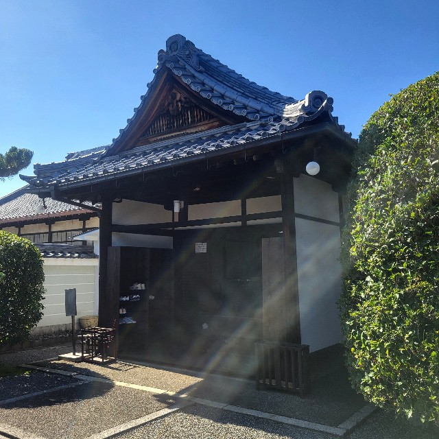 f:id:atoriatoriatori:20241112085824j:image