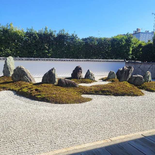 f:id:atoriatoriatori:20241112085902j:image