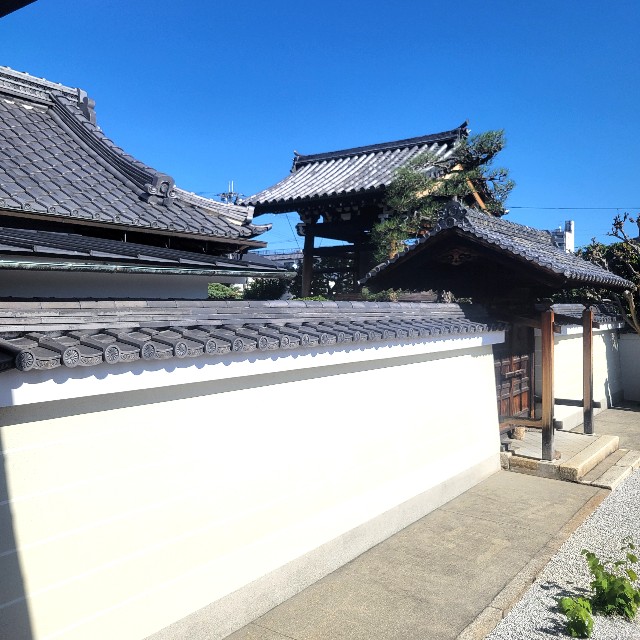 f:id:atoriatoriatori:20241112090722j:image