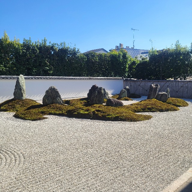 f:id:atoriatoriatori:20241112090745j:image