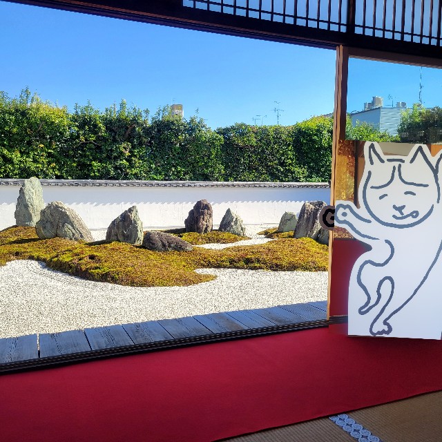 f:id:atoriatoriatori:20241112094307j:image