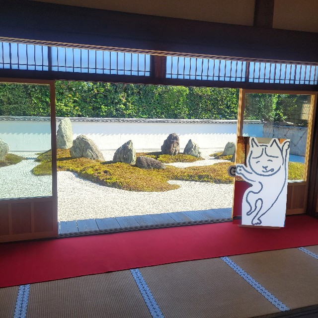 f:id:atoriatoriatori:20241112094451j:image