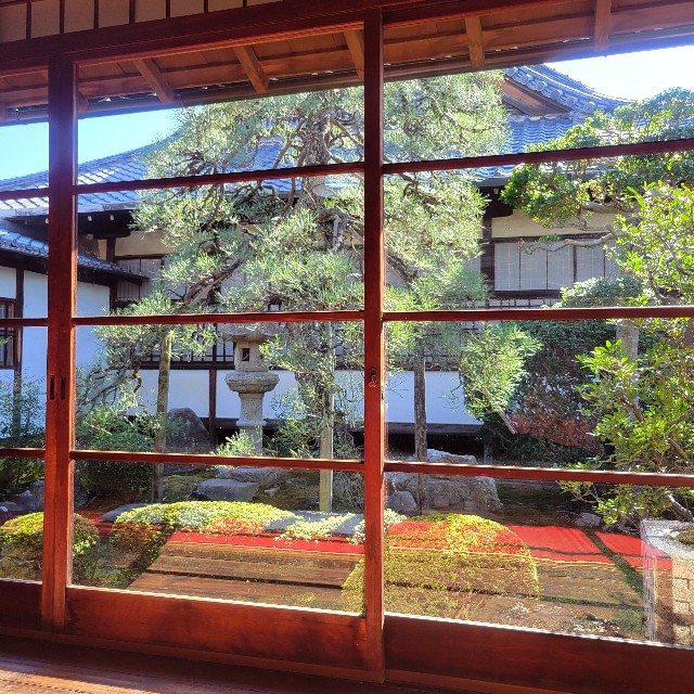 f:id:atoriatoriatori:20241112102216j:image