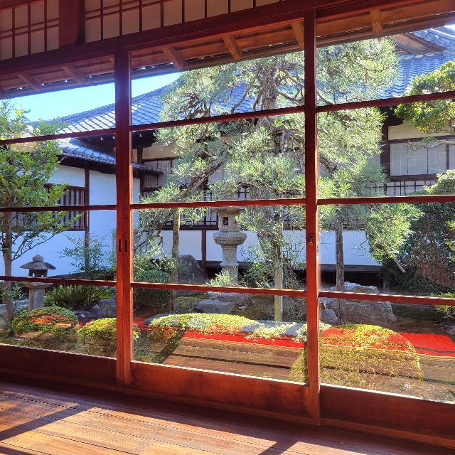 f:id:atoriatoriatori:20241112103846j:image