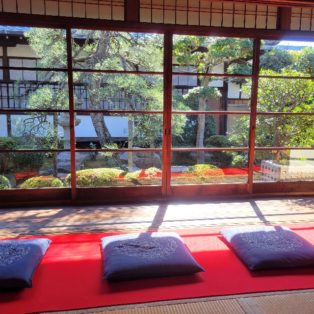 f:id:atoriatoriatori:20241112104238j:image