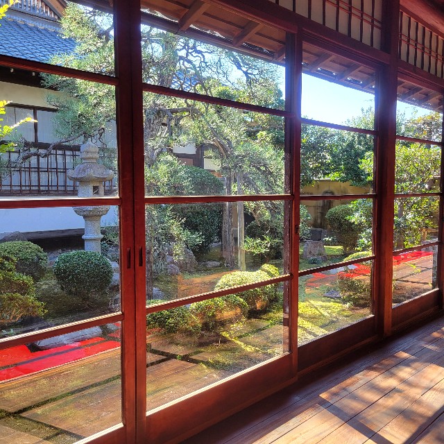 f:id:atoriatoriatori:20241112104253j:image