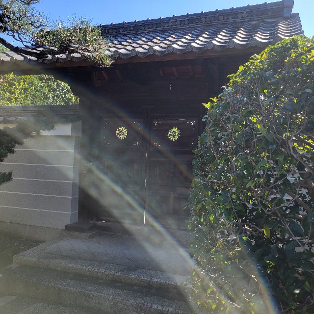 f:id:atoriatoriatori:20241112104630j:image