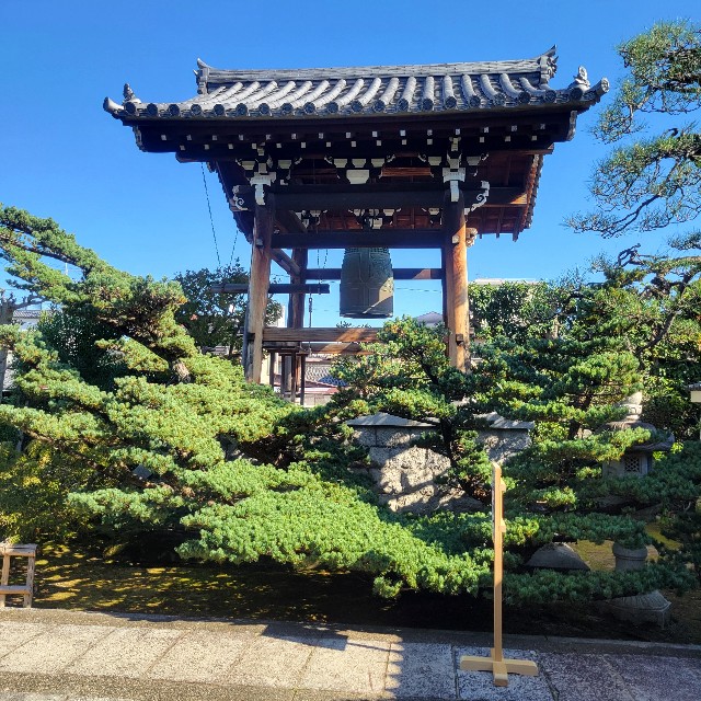 f:id:atoriatoriatori:20241112104659j:image