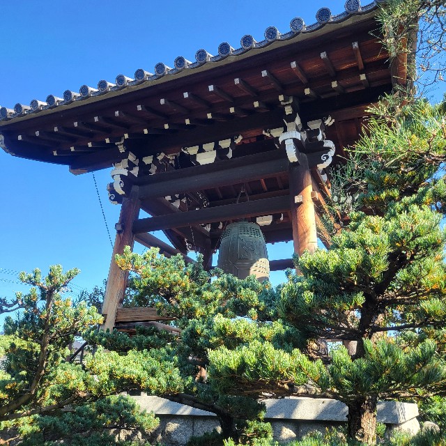 f:id:atoriatoriatori:20241112104706j:image