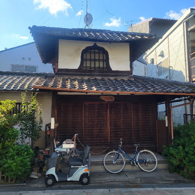 f:id:atoriatoriatori:20241115095438j:image