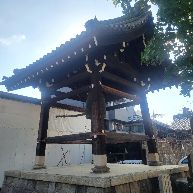 f:id:atoriatoriatori:20241115095544j:image