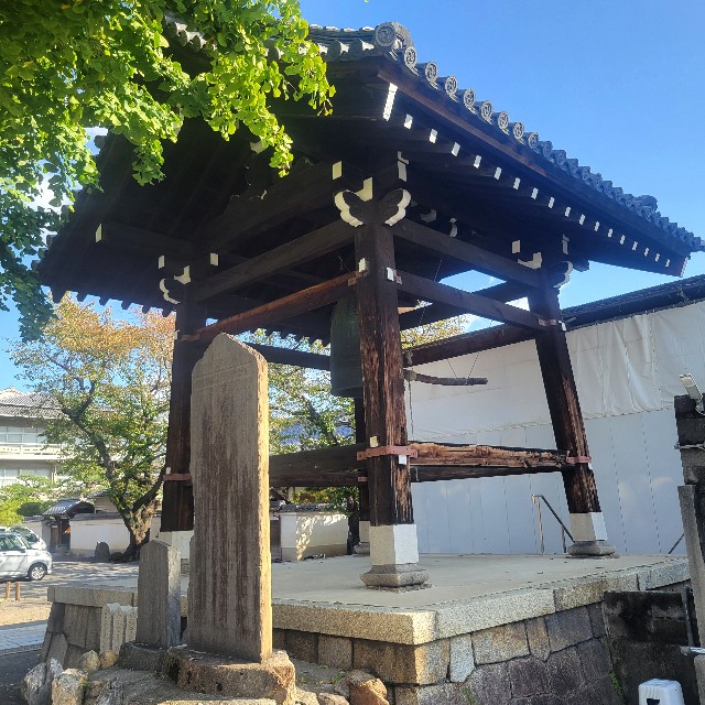 f:id:atoriatoriatori:20241115095552j:image
