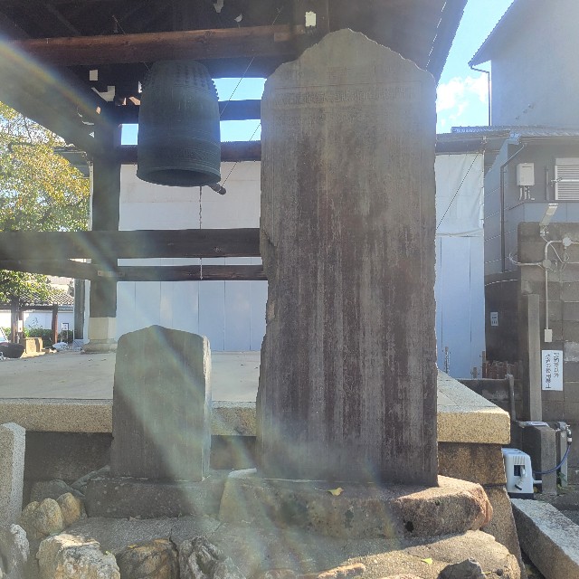 f:id:atoriatoriatori:20241115095605j:image