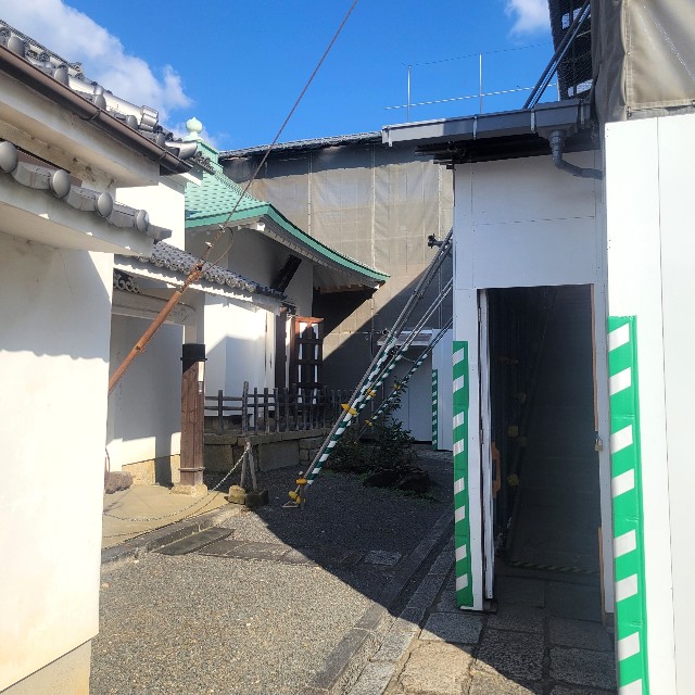 f:id:atoriatoriatori:20241115105023j:image