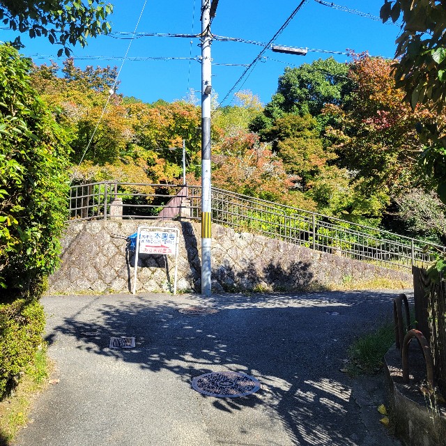 f:id:atoriatoriatori:20241118092416j:image
