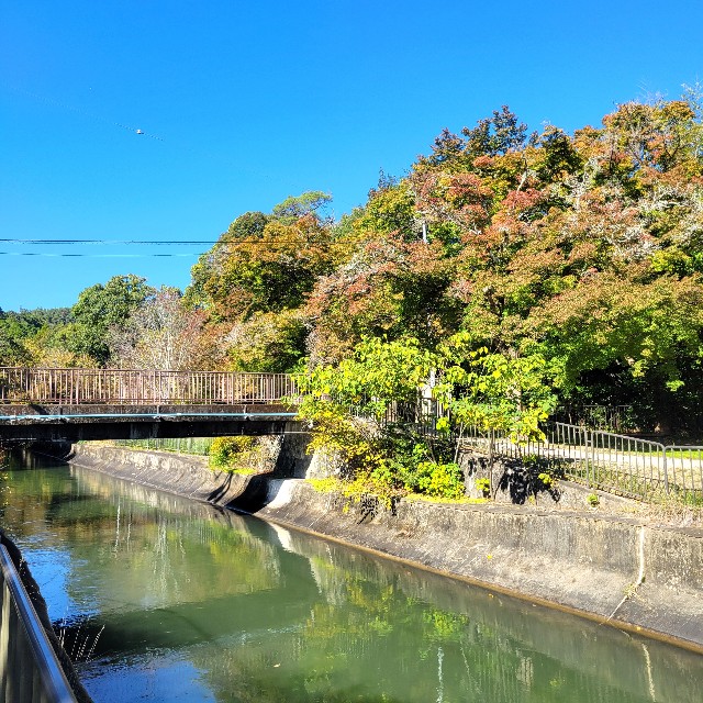 f:id:atoriatoriatori:20241118092512j:image
