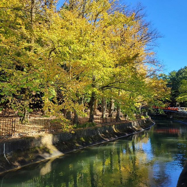 f:id:atoriatoriatori:20241118092528j:image