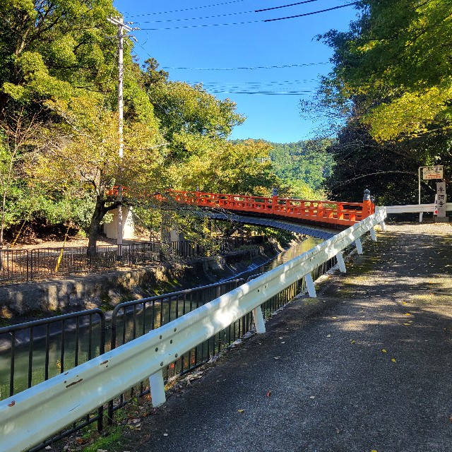 f:id:atoriatoriatori:20241118092607j:image