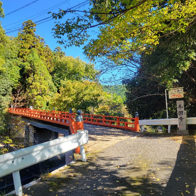 f:id:atoriatoriatori:20241118093050j:image
