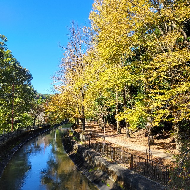 f:id:atoriatoriatori:20241118101640j:image