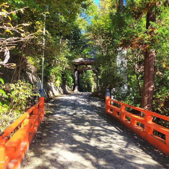 f:id:atoriatoriatori:20241118101649j:image
