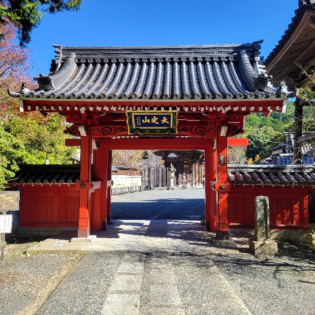 f:id:atoriatoriatori:20241118102528j:image