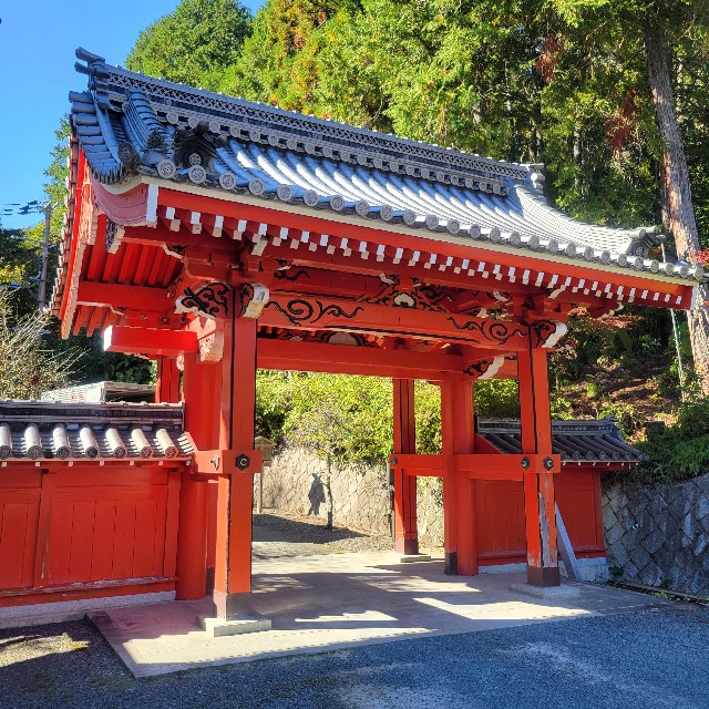 f:id:atoriatoriatori:20241118114757j:image