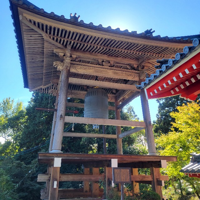 f:id:atoriatoriatori:20241118114820j:image
