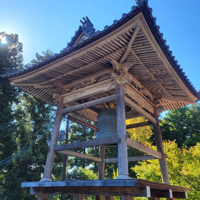 f:id:atoriatoriatori:20241118115357j:image