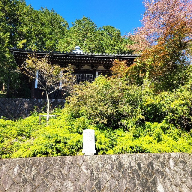 f:id:atoriatoriatori:20241118115408j:image