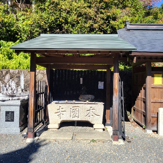 f:id:atoriatoriatori:20241118115453j:image