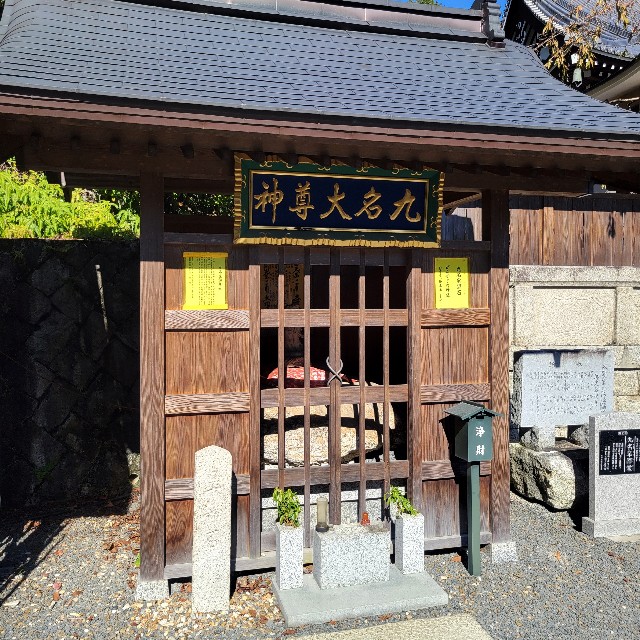 f:id:atoriatoriatori:20241118115722j:image