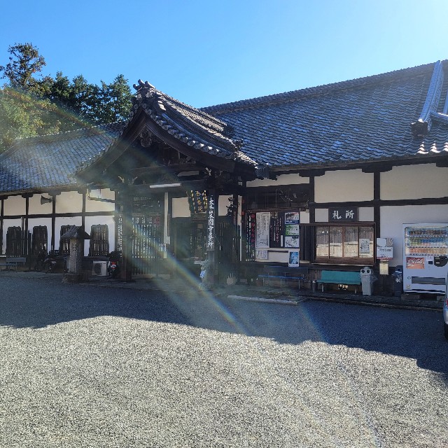 f:id:atoriatoriatori:20241118120059j:image