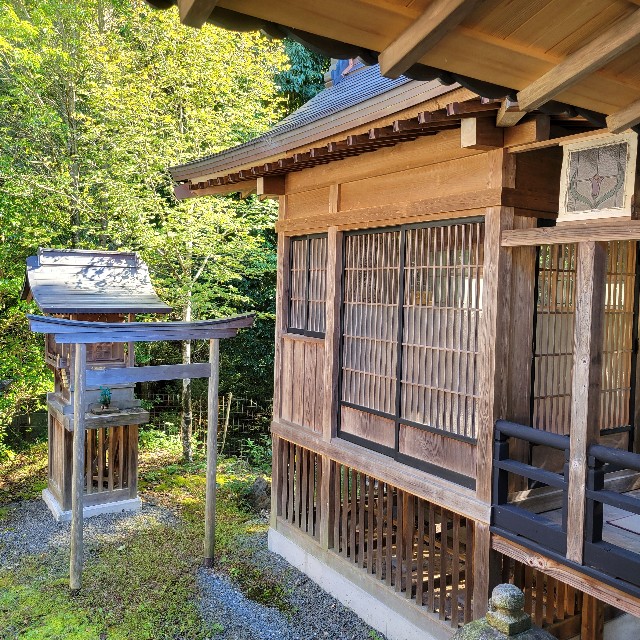 f:id:atoriatoriatori:20241118130558j:image