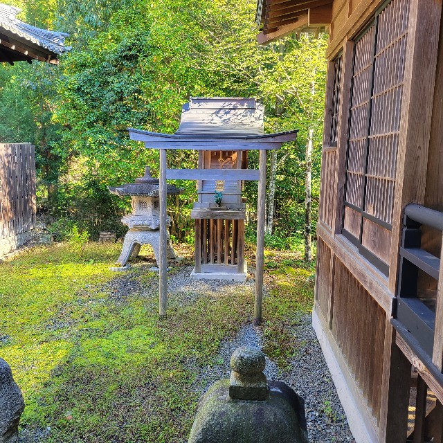 f:id:atoriatoriatori:20241118130606j:image