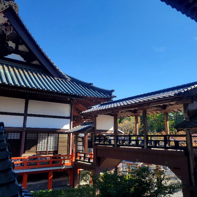 f:id:atoriatoriatori:20241118144209j:image