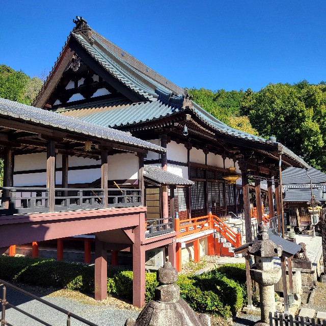 f:id:atoriatoriatori:20241118144607j:image