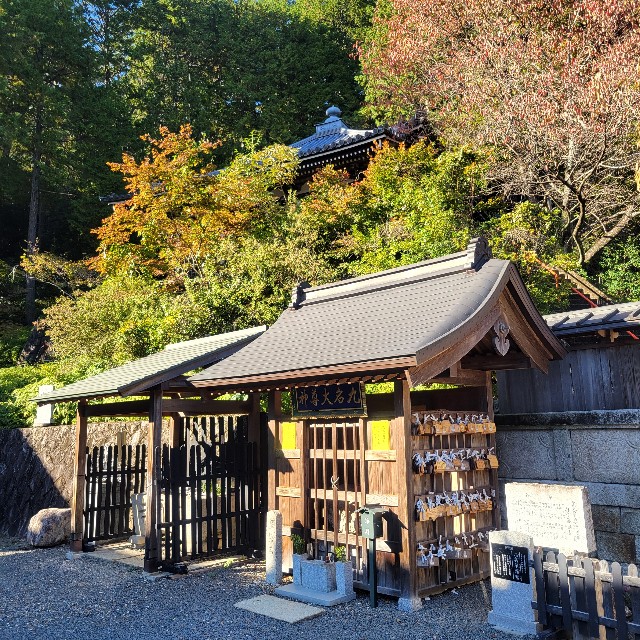 f:id:atoriatoriatori:20241118144721j:image