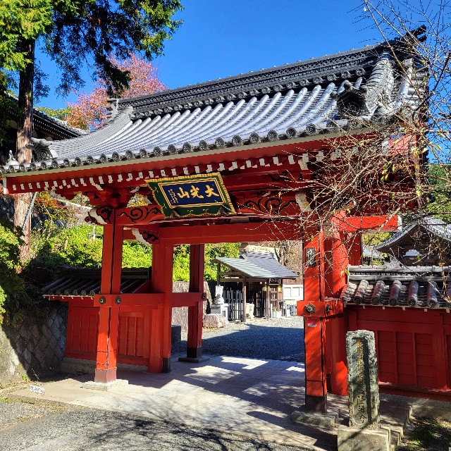 f:id:atoriatoriatori:20241118145507j:image