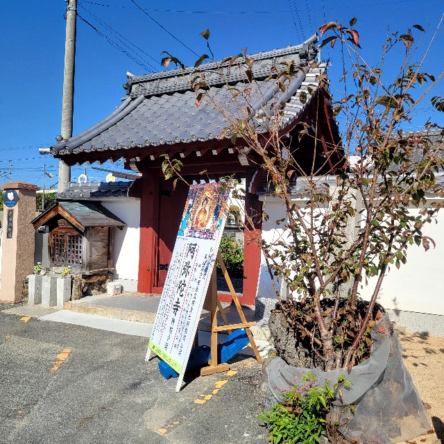 f:id:atoriatoriatori:20241120081232j:image