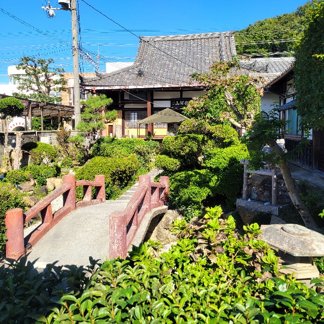 f:id:atoriatoriatori:20241120082001j:image