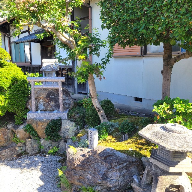 f:id:atoriatoriatori:20241120082011j:image