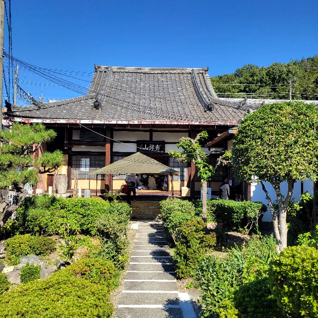 f:id:atoriatoriatori:20241120082019j:image