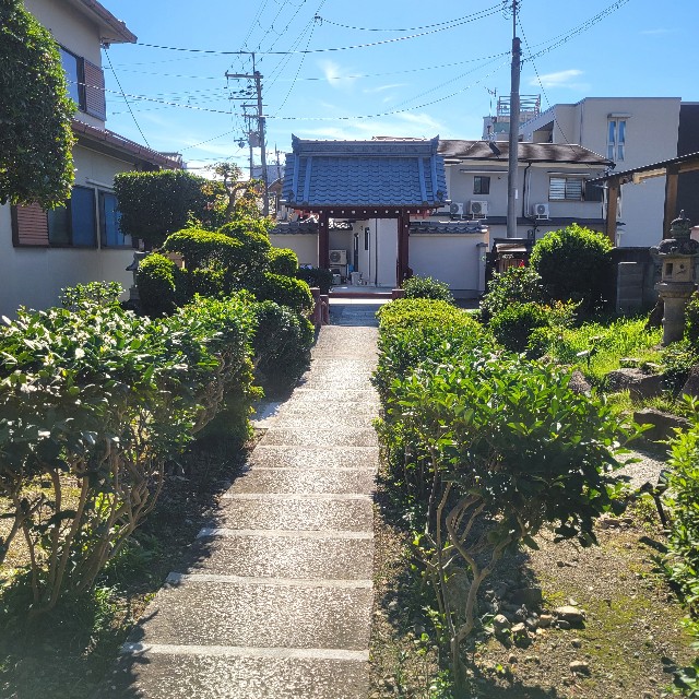 f:id:atoriatoriatori:20241120082026j:image